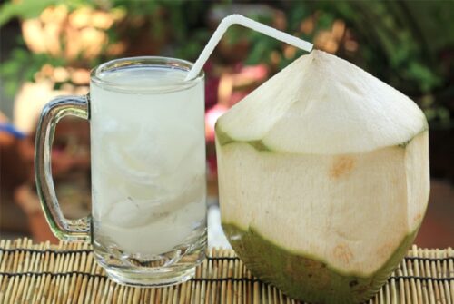 kelapa muda