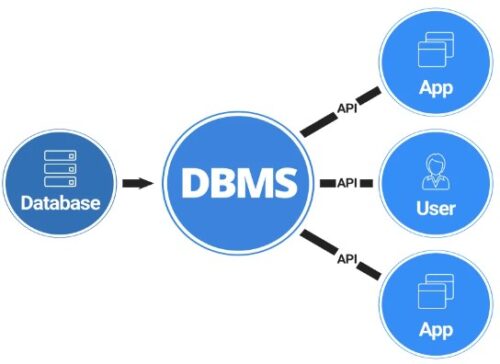 √ Mengenal Apa Itu Database Serta Fungsi Dan Jenisnya