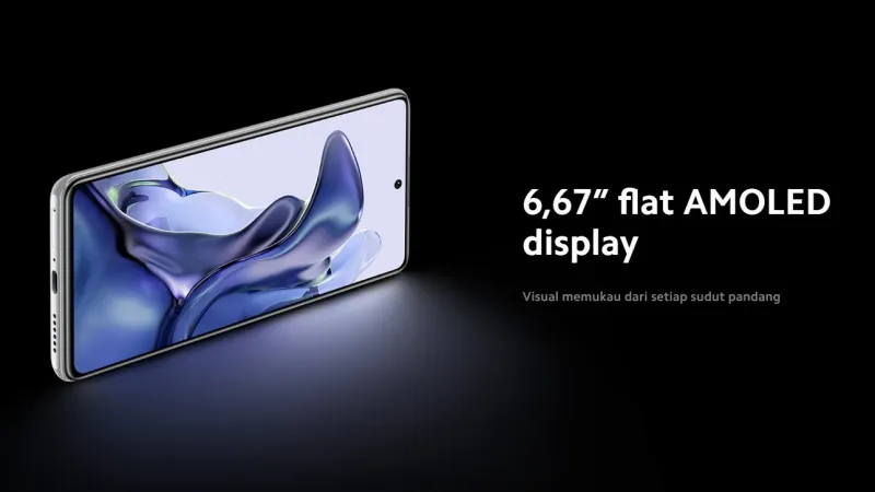 Vivo AMOLED Display